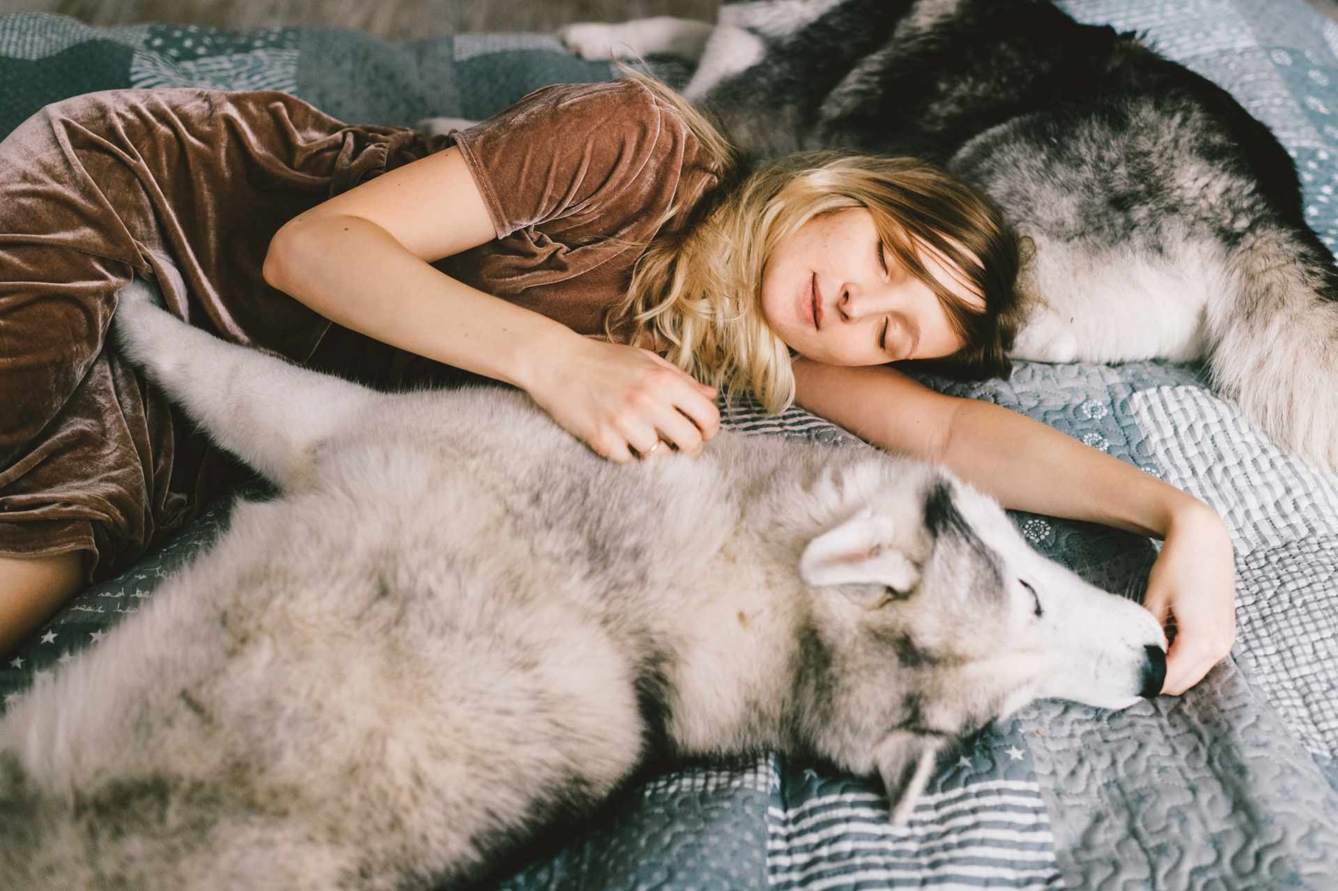 ¿Es bueno compartir cama con nuestras mascotas? - Blog Nubett